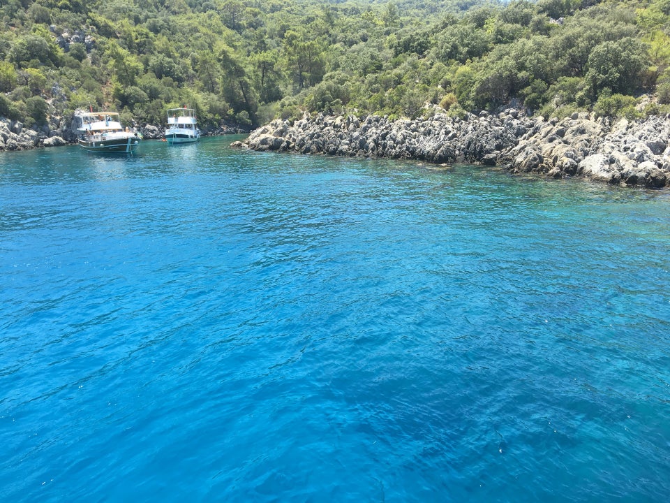 akvaryum koyu fethiye