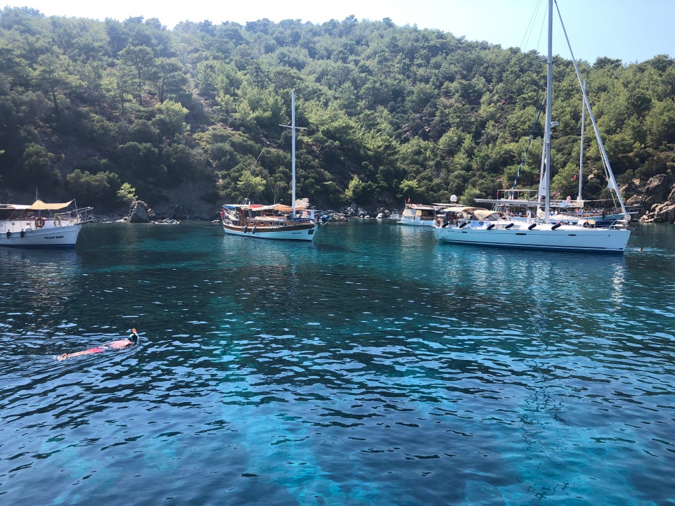 datça akvaryum koyu