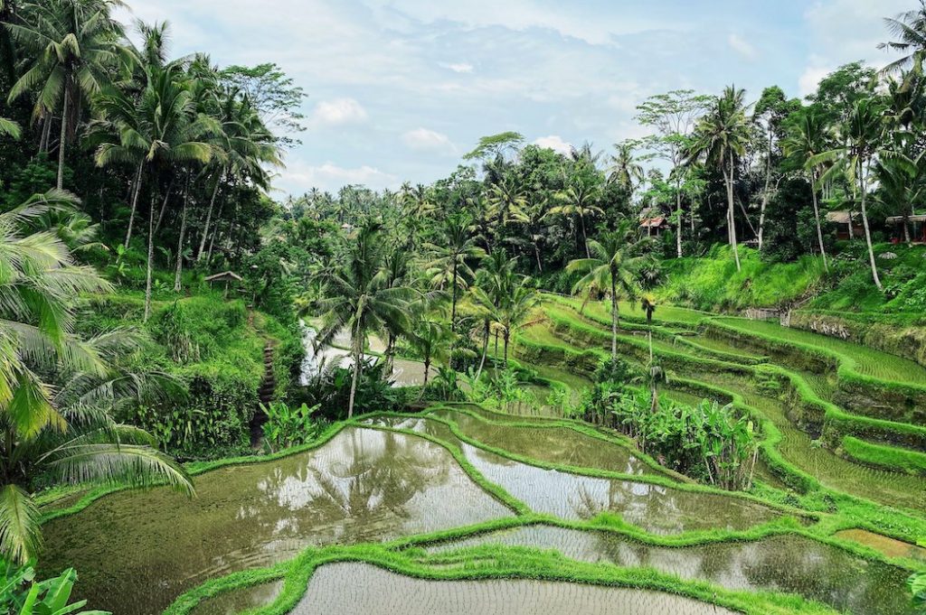 ubud