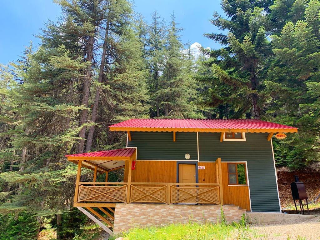 başkonuş yaylası orman evi