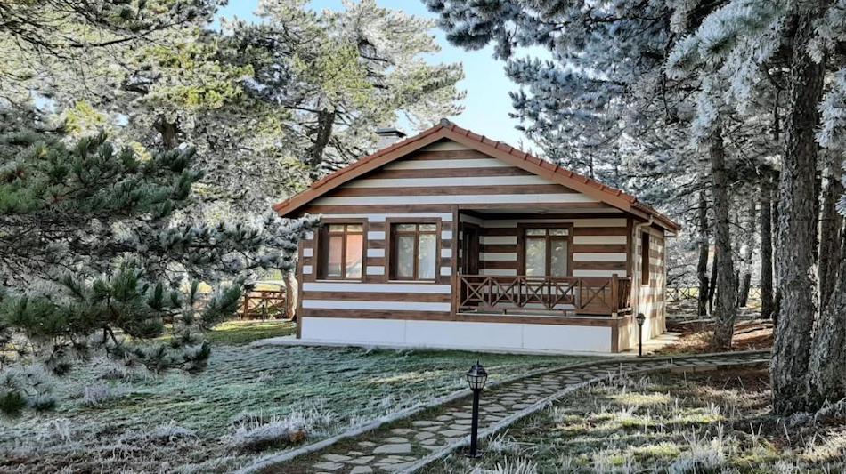 spil dağ evi