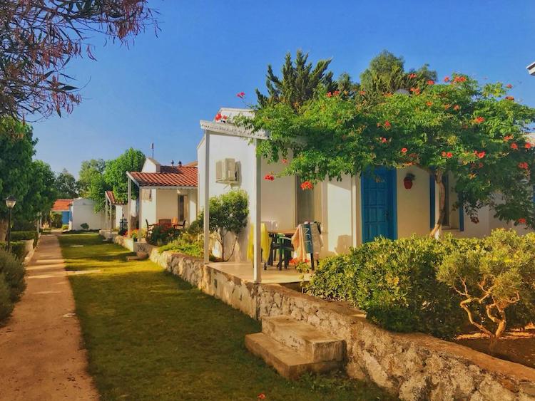 teos ormancı