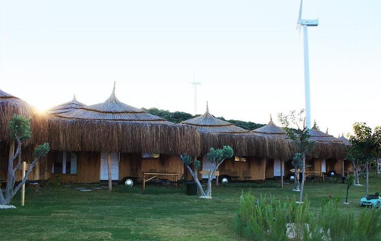 tepe lodge