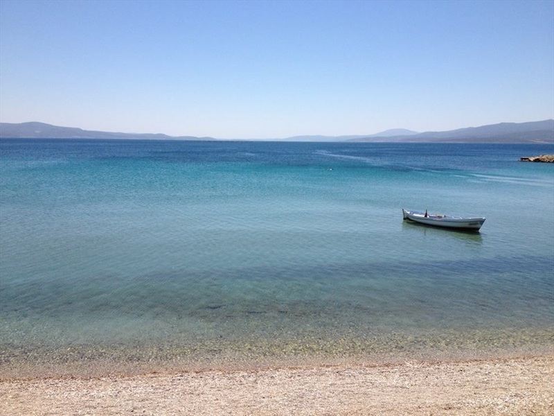 Badembükü Karaburun