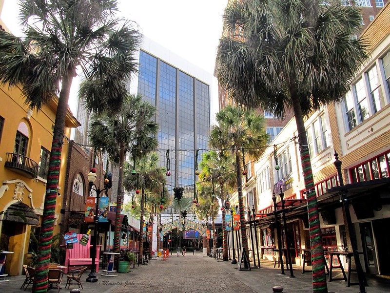 Orlando Şehir Merkezi / Orlando Downtown