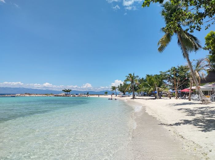 Moalboal Cebu