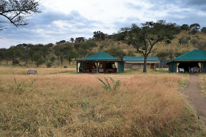 Central Serengeti