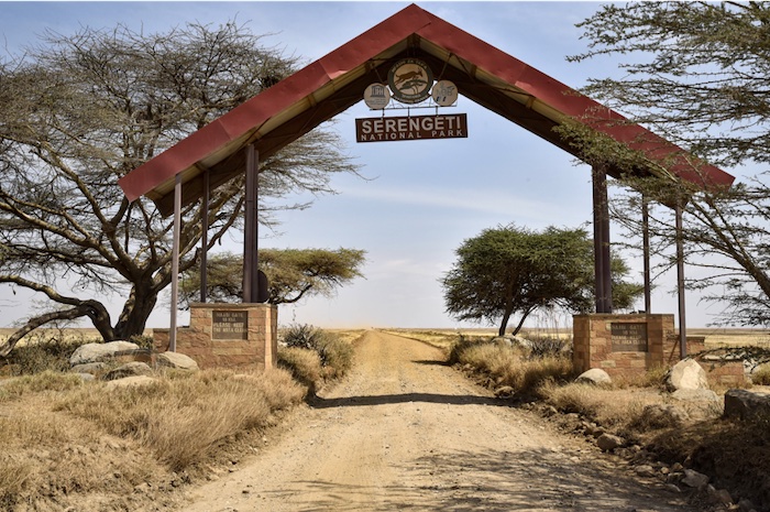 Serengeti Milli Parkı