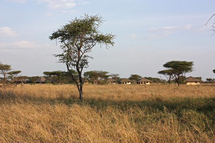 Robanda Serengeti
