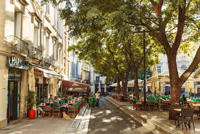 Hopitaux-Facultes Montpellier