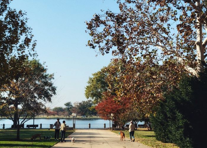 Washington Southwest