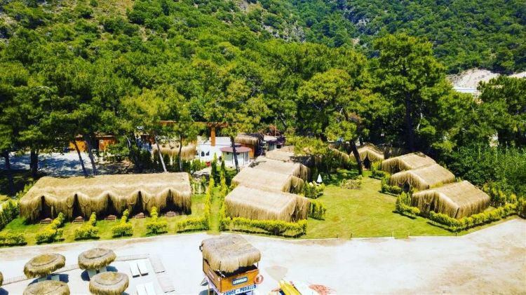 Green Pine Beach & Bungalows Luxury Concept